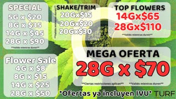Turf Cannabis Collection 🍃OFERTAS DE SEPTIEMBRE🌿