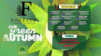 Foresta Cannabis Collection 🌿✨Nuevas Flores Exclusivas✨🌿