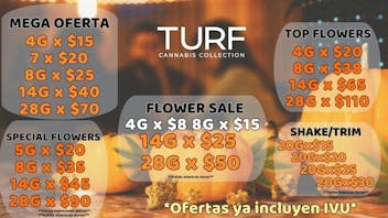Turf Cannabis Collection 🌿 Noviembre se pone bueno en TURF!