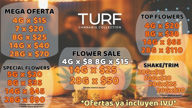 Turf Cannabis Collection 🌿 Noviembre se pone bueno en TURF!