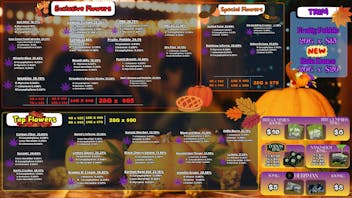 Foresta Cannabis Collection 🧡 PROMO OTOÑAL EN FORESTA 🍁