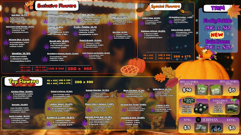 Foresta Cannabis Collection 🧡 PROMO OTOÑAL EN FORESTA 🍁