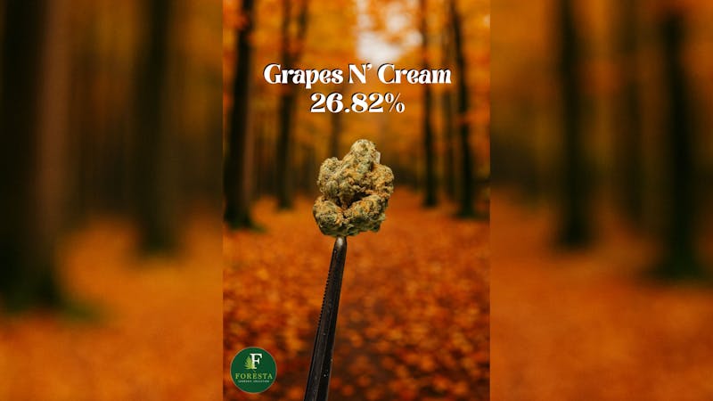 Foresta Cannabis Collection 🍇 Grapes N’ Cream 26.82%