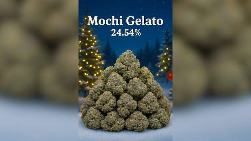 Foresta Cannabis Collection 🌲 Mochi Gelato 24.54%