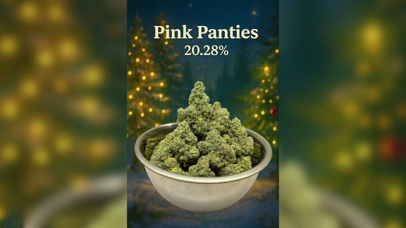 Foresta Cannabis Collection 🌲 Pink Panties 20.28%