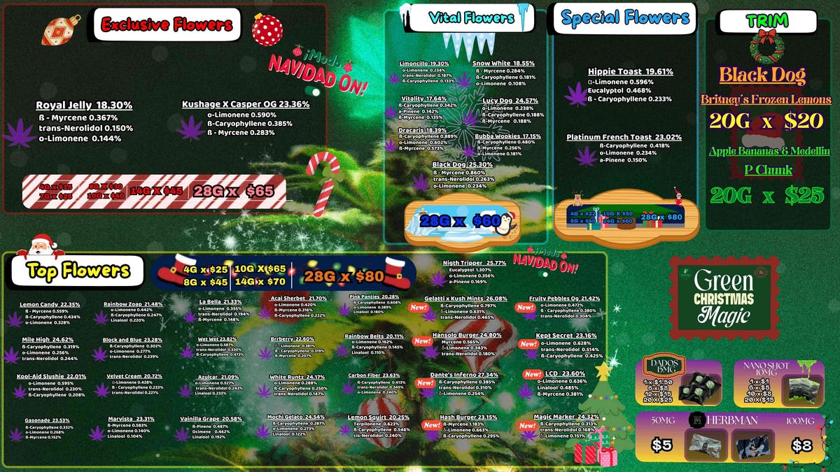 Foresta Cannabis Collection PRECIO NAVIDEÑO🎄