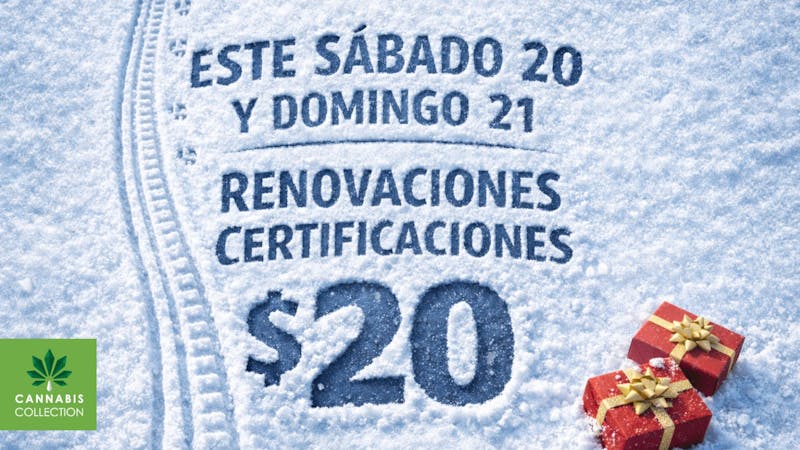 Foresta Cannabis Collection 🎁 REGALO DE DICIEMBRE