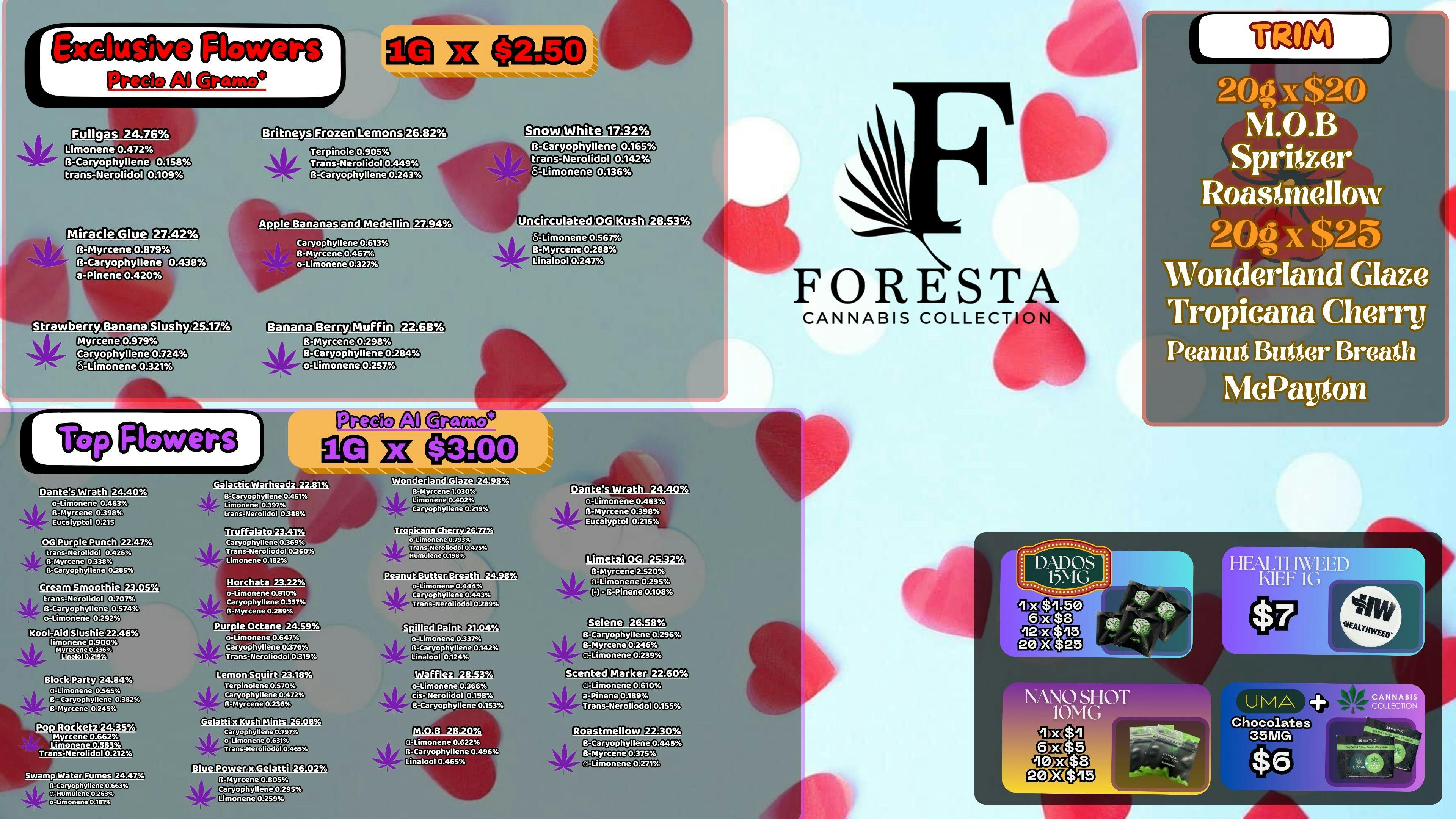 Foresta Cannabis Collection 🌅 BUEN DÍA · FORESTA 🌅