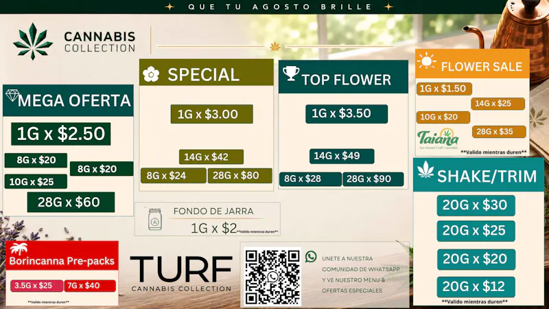 Turf Cannabis Collection Que tu Agosto Brille @ TURF Cannabis Collection