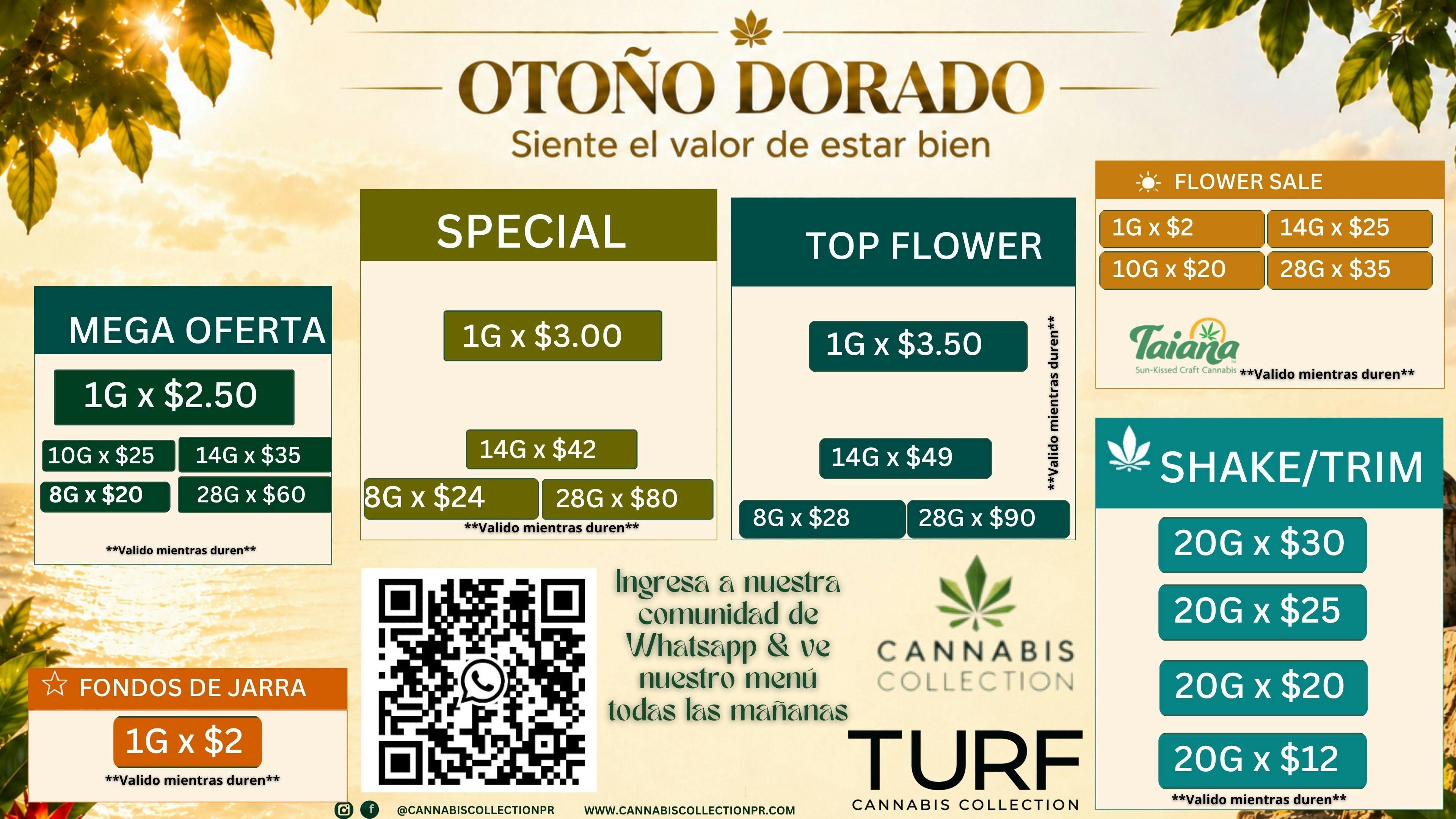 Turf Cannabis Collection Otoño Dorado @ TURF Cannabis Collection