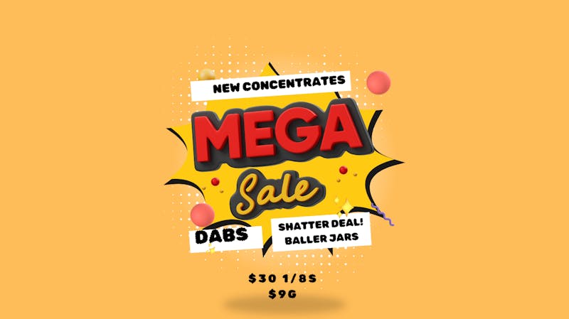 Just in time BIG Concentrate Deals!
