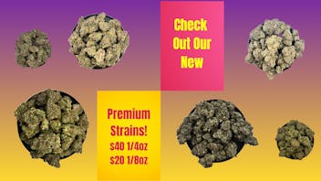 Just in time New Premium Strains!