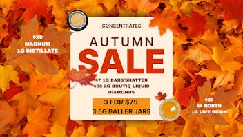 Just in time Over 20% Off Concentrates!