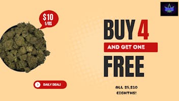 Just in time BUY 4 GET 1 FREE!