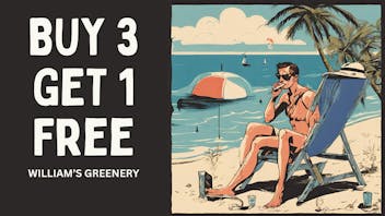 Maine Medical Canna Connection BUY 3 GET 1 FREE WG