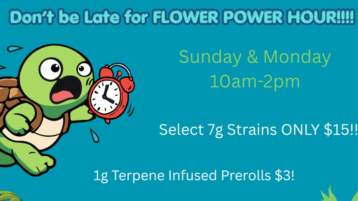 Maine Medical Canna Connection Flower Power Hours