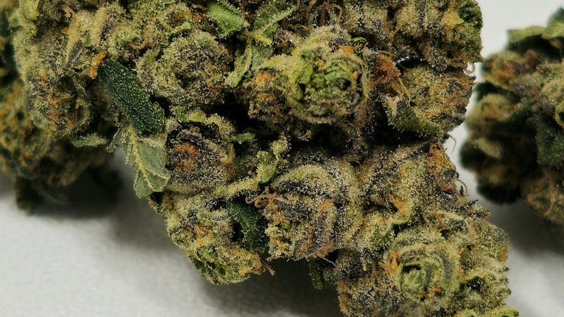 Holyoke Cannabis Dispensary – Holyoke $8-$45 Full-Bud | 1/8ths(3.5g)
