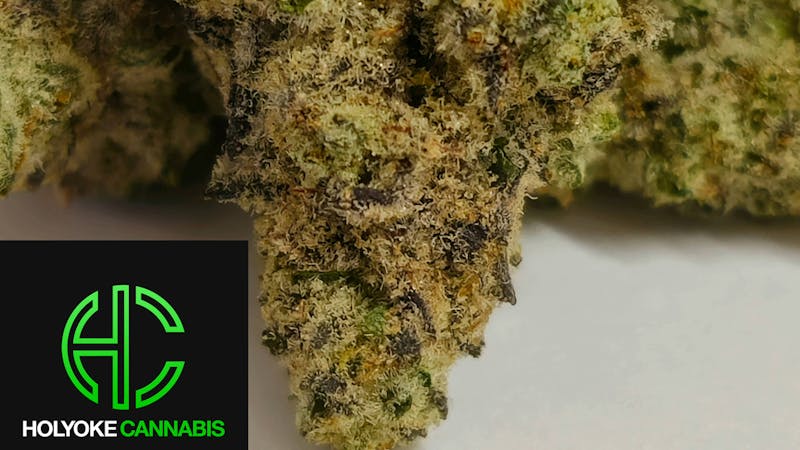 Holyoke Cannabis Dispensary – Holyoke 40%+ TAC Flower/PreRoll Options | Holyoke Cannabis