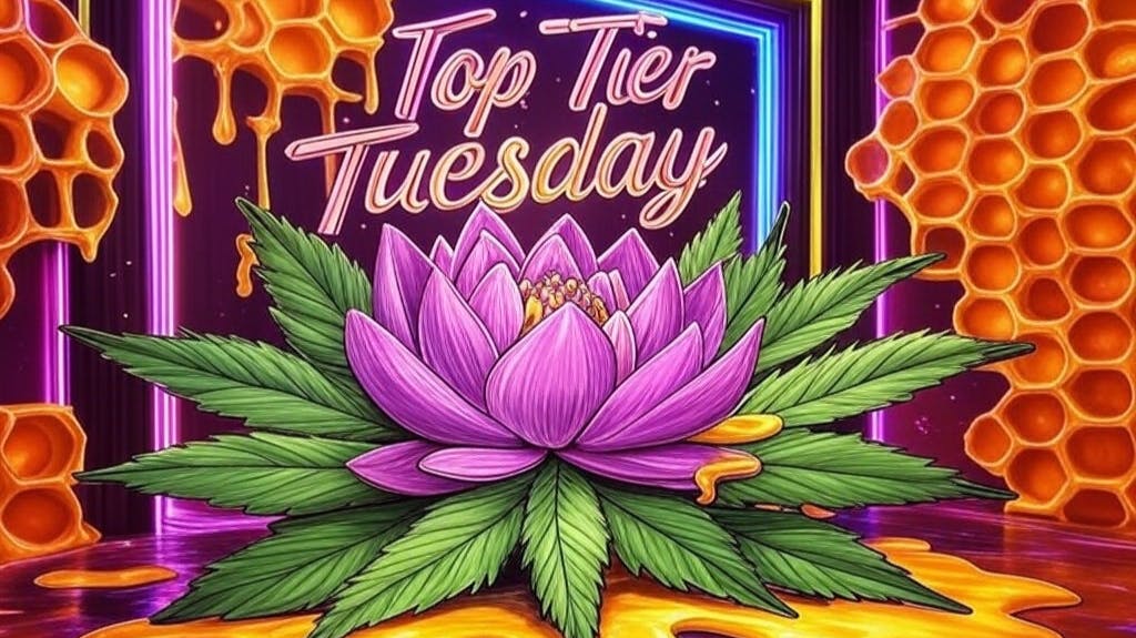 Ripple Wellness - Saco Top Tier Tuesday: 10% off ALL TOP TIER!