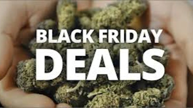 Ripple Wellness - Saco BLACK FRIDAY SALE