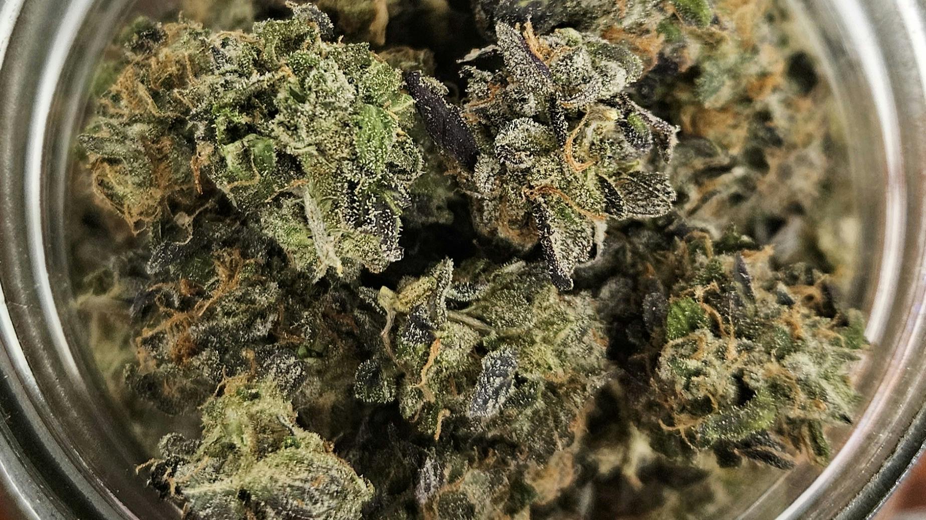 Ripple Wellness - Saco TIER 1 FLOWER: $20 an 1/8th $120 an Ounce
