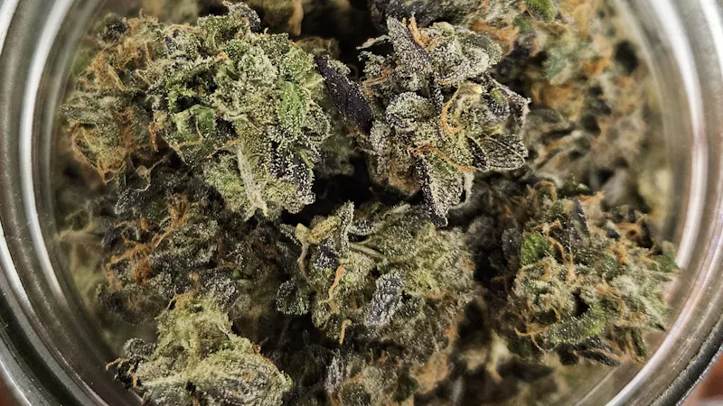 Ripple Wellness - Saco TIER 1 FLOWER: $20 an 1/8th $120 an Ounce