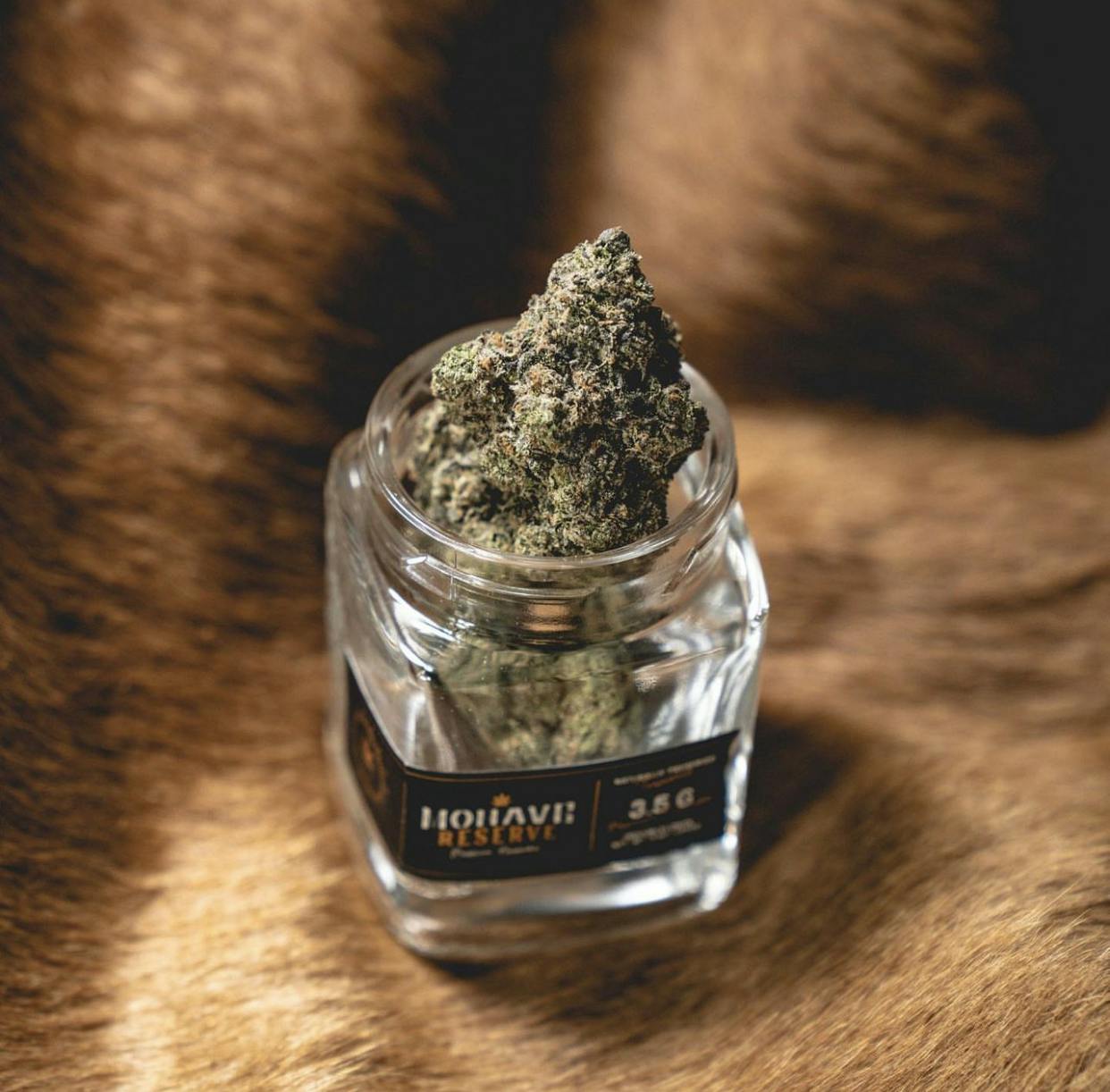 JARS Cannabis - Globe - Dispensary Listing - Photo 3