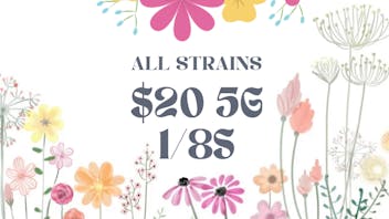 Prospect Hill Holistic (Pickup Available) $20 5g 1/8s: ALL STRAINS