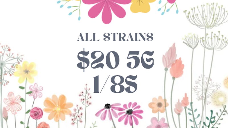 Prospect Hill Holistic (Pickup Available) $20 5g 1/8s: ALL STRAINS
