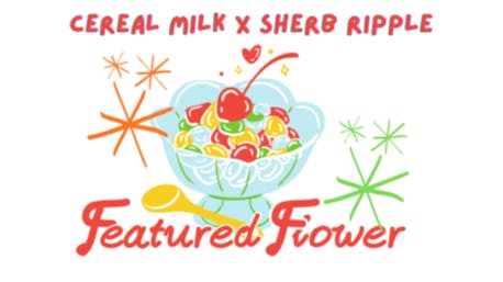 Prospect Hill Holistic (Pickup Available) THIS WEEK'S FEATURED FLOWER