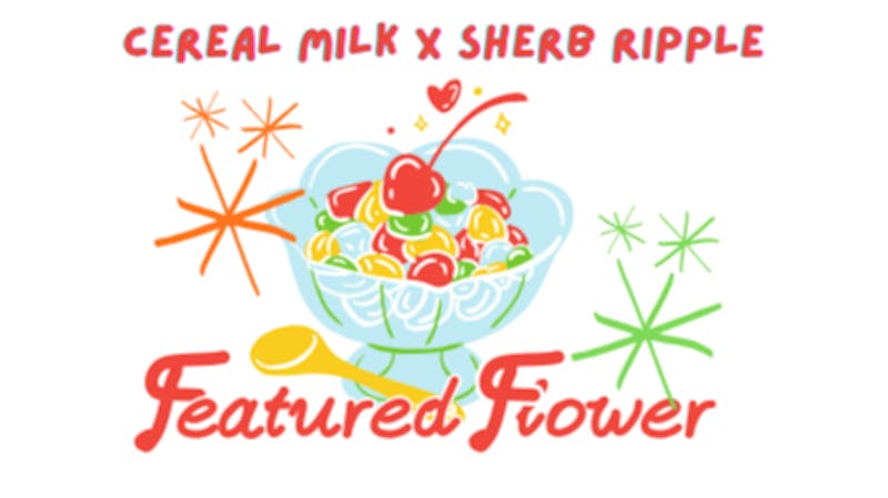 Prospect Hill Holistic (Pickup Available) THIS WEEK'S FEATURED FLOWER