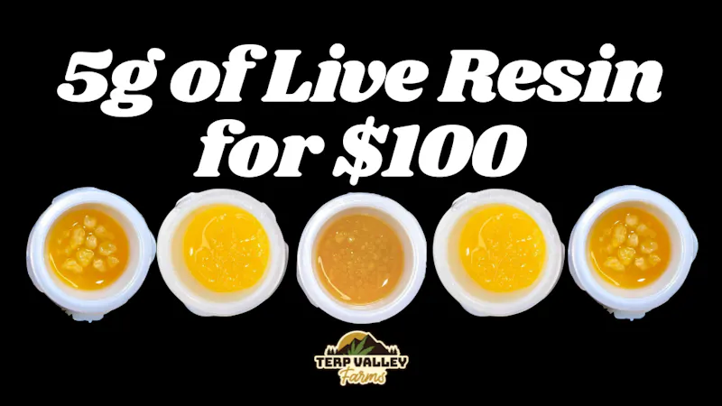Terp Valley Farms 5 Grams of Live Resin for $100