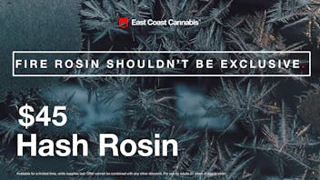 East Coast Cannabis - Eliot $45 1g Hash Rosin