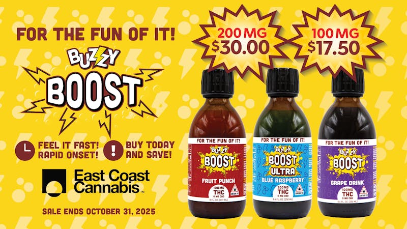 East Coast Cannabis - Lebanon $17.50 100mg Buzzy Beverages