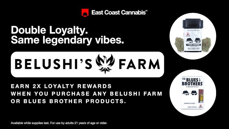 East Coast Cannabis - Eliot 2x Loyalty on Belushi Farm