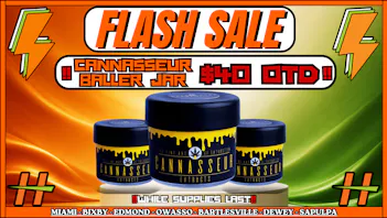Humboldt Cannabis - Miami CANNASSEUR BALLER $40