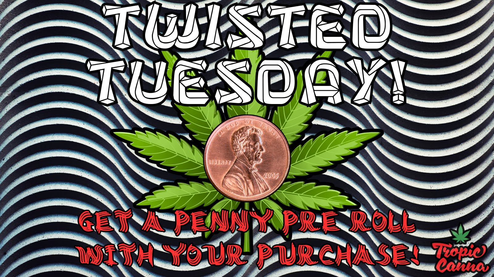 Tropic Canna - Lawton TWISTED TUESDAY!