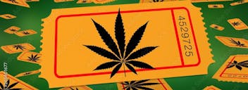 Indigo Farms - Now Open! FREE OZ. RAFFLE TODAY!!!!!!