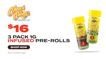 JARS Cannabis - Prescott Cheech & Chong - $16 Infused Preroll 3 Pack