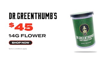 JARS Cannabis - Prescott Dr. Greenthumb's - $45 Half Ounce