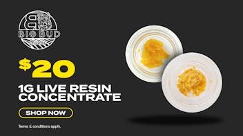 JARS Cannabis - Prescott Big Bud Farms - $20 Live Resin Concentrate