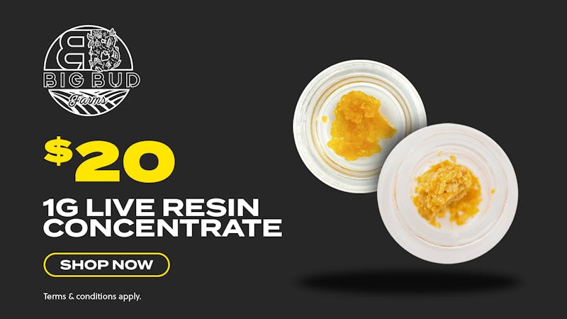 JARS Cannabis - Globe Big Bud Farms - $20 Live Resin Concentrate