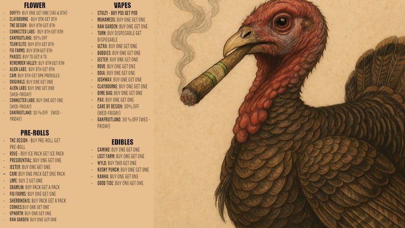 Trees Echo Park 🌳Green Wednesday🍂Thanksgiving🍂Black Friday🌳