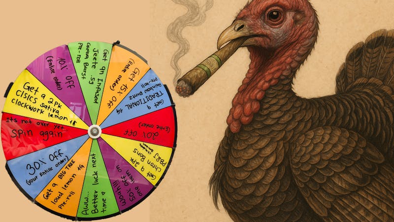 Trees Hollywood 🌳Green Wednesday🍂Thanksgiving🍂Black Friday🌳