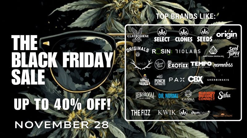Buds & Roses BLACK FRIDAY