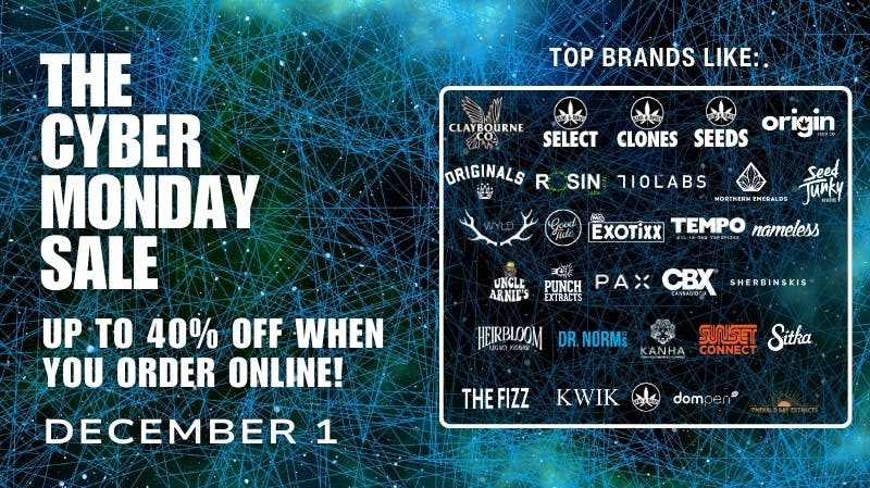 Buds & Roses CYBER MONDAY