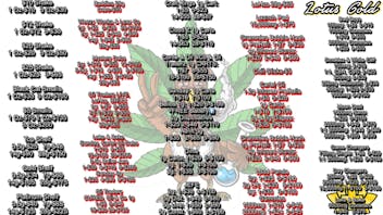 Lotus Gold - Enid - 24 Hours BADDIES DAB OZ-$55 / LOUD PANDA 2G DISPOS 5-$100