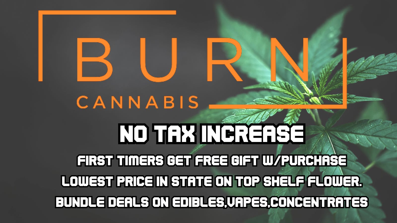 Burn Cannabis Retail - Warren Factory Direct Prices | No Tax Increase Yet
