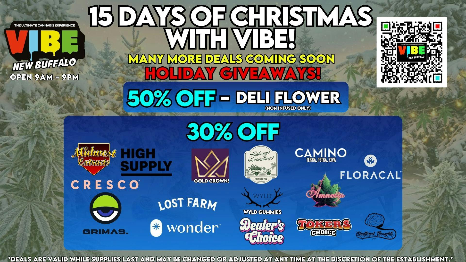 Vibe New Buffalo Holidays With Vibe!