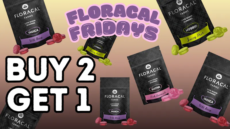 Vibe New Buffalo Floracal Fridays!